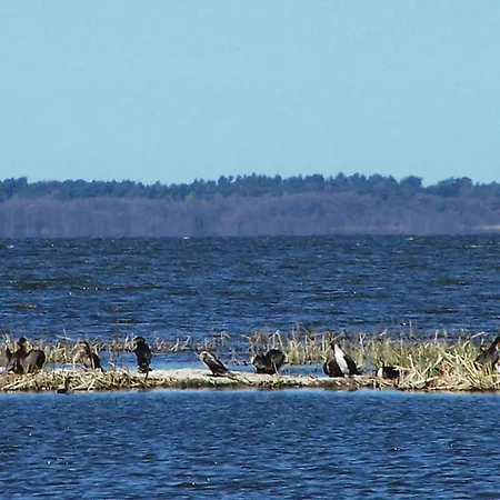 2 Bedroom Lovely In *