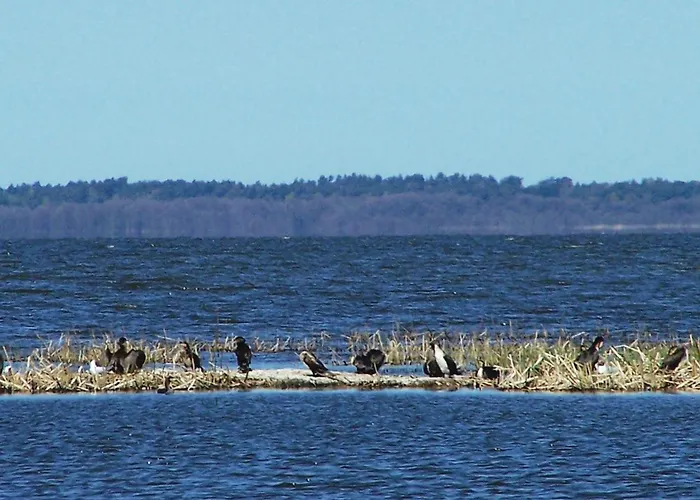 2 Bedroom Lovely In *